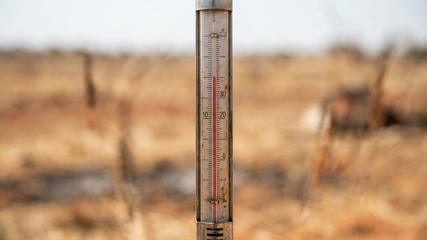 Je pensais avoir tout vu avec la canicule de fin juin : quand j'ai regardé les relevés de juillet 2026, j'ai compris que l...