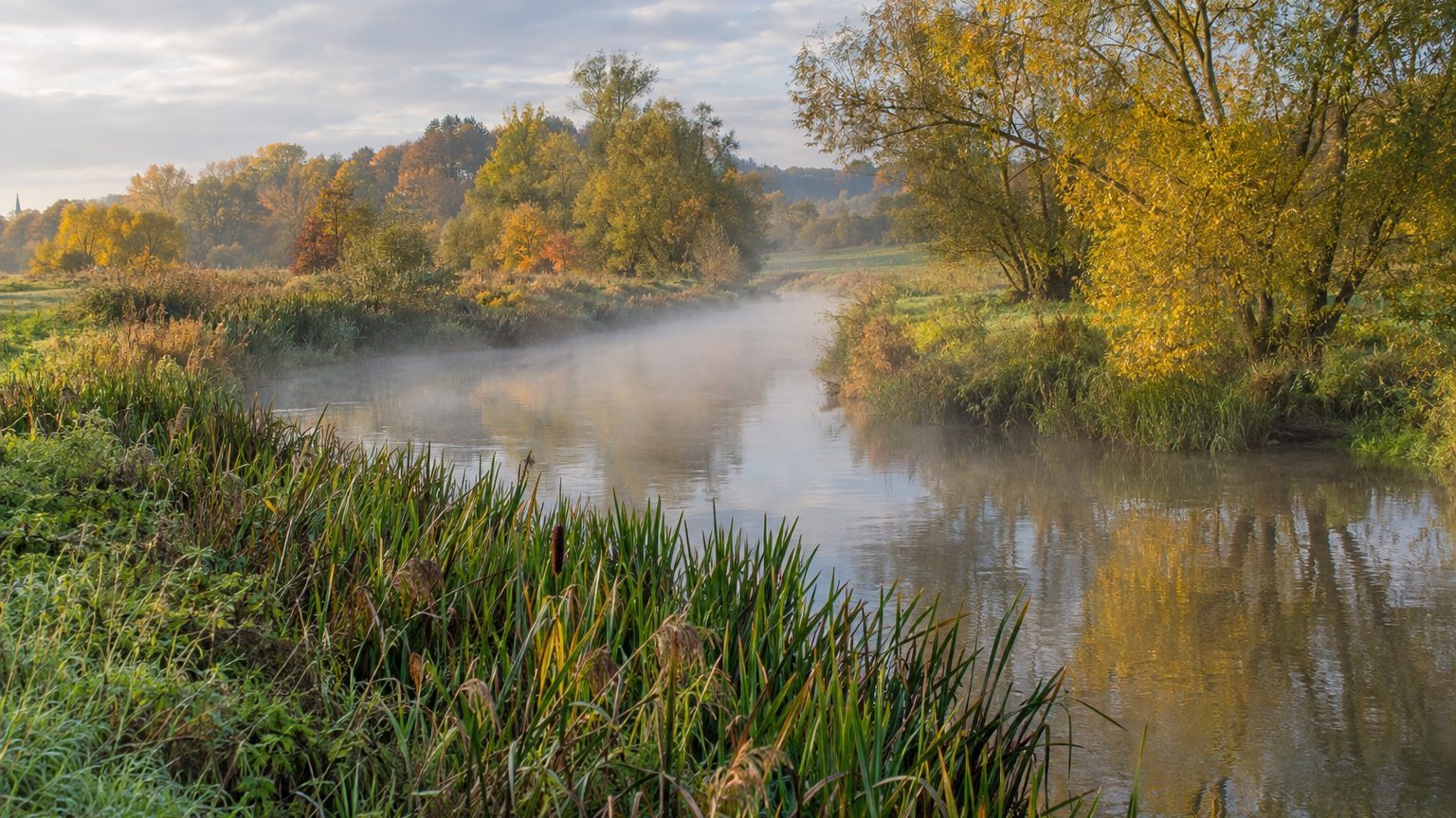 Pourquoi Bruxelles s'appelle Bruxelles : Bruocsella, les marais de la Senne et l'île Saint-Géry